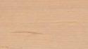 Naturboeden Parkett Dresden Dielen beraten verkauf muster preise  Parkett Holzpflaster Trockenestriche Teppich PVC Linoleum, Gummibelag Kork schleifen versiegeln Werkzeugverleih 