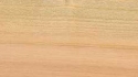 Naturboeden Parkett Dresden Dielen beraten verkauf muster preise  Parkett Holzpflaster Trockenestriche Teppich PVC Linoleum, Gummibelag Kork schleifen versiegeln Werkzeugverleih 