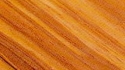 Naturboeden Parkett Dresden Dielen beraten verkauf muster preise  Parkett Holzpflaster Trockenestriche Teppich PVC Linoleum, Gummibelag Kork schleifen versiegeln Werkzeugverleih 