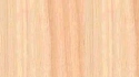Naturboeden Parkett Dresden Dielen beraten verkauf muster preise  Parkett Holzpflaster Trockenestriche Teppich PVC Linoleum, Gummibelag Kork schleifen versiegeln Werkzeugverleih 