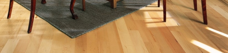 Parkett Dresden