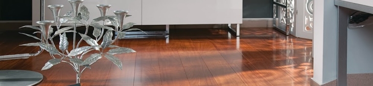 Parkett Dresden