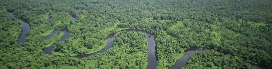 verkauf und beratung holz schnizen handel preise sind preiswert 